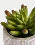 Marks & Spencer "Artificial Mini Succulent in Concrete Pot"